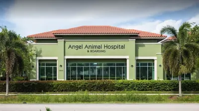 Angel Animal Hospital, Naples FL, Veterinary Clinic, Surgery, Boarding and Grooming Facilities Photo