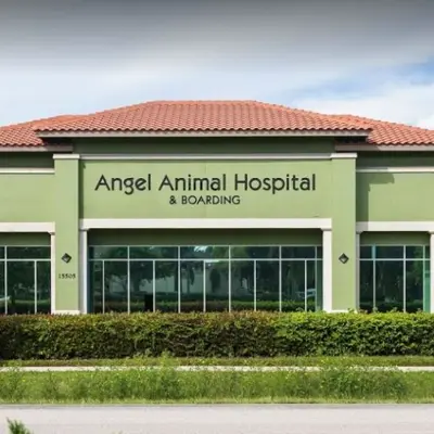 Angel Animal Hospital, Naples FL, Veterinary Clinic, Surgery, Boarding and Grooming Facilities Photo